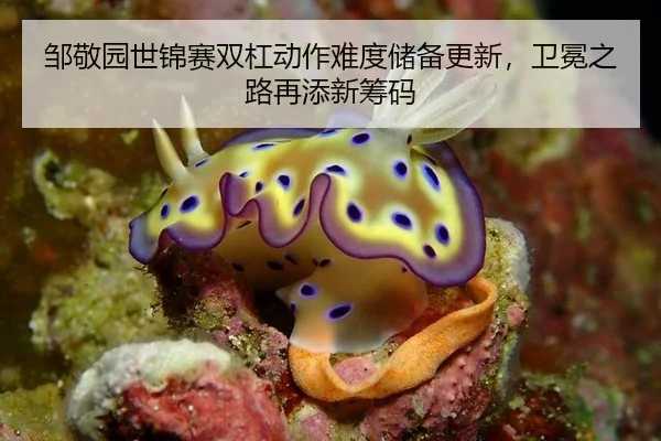 zou-jing-yuan-shi-jin-sai-shuang-gang-dong-zuo-nan-du-chu-bei-geng-xin-wei-mian-zhi-lu-zai-tian-xin-chou-ma-3-605.jpg